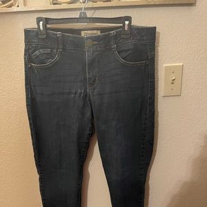 Democracy Skinny Jeans